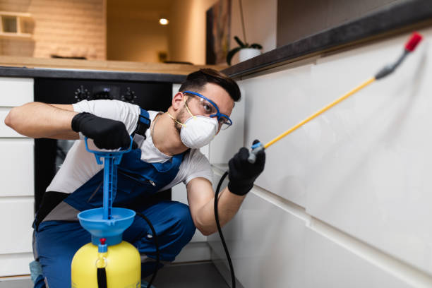 Best Pest Removal Services  in Castle Dale, UT