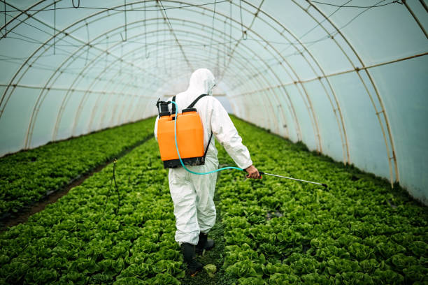 Best Best Pest Control Companies  in Castle Dale, UT