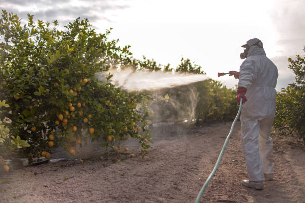 Insect Control in Castle Dale, UT