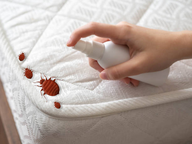 Best Wasp Removal Services  in Castle Dale, UT