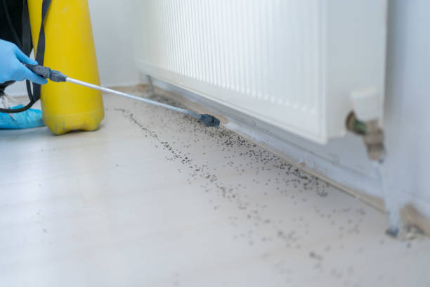 Best Emergency Pest Control  in Castle Dale, UT